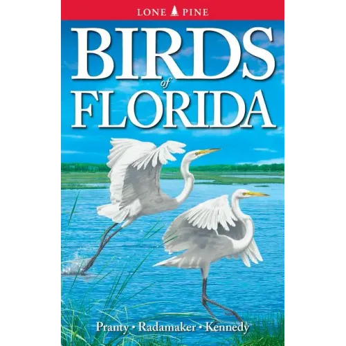 Birds of Florida