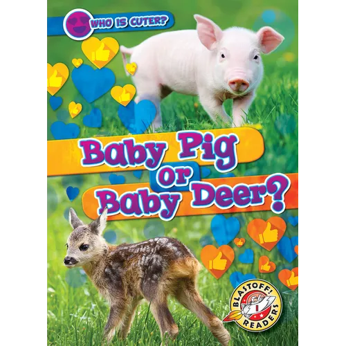 Baby Pig or Baby Deer?