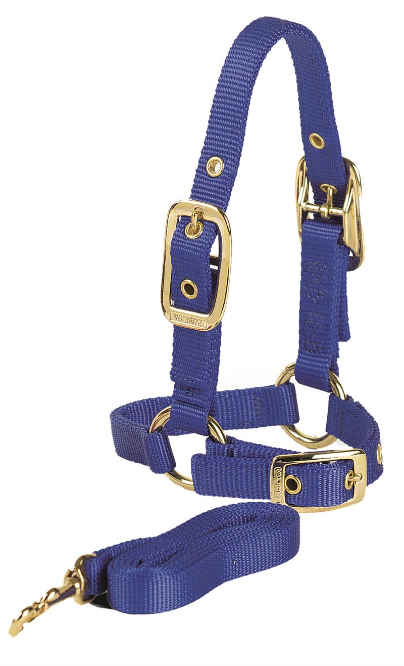 SHEEP HALTER W/LEAD - PURPLE