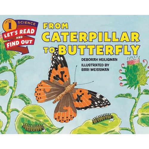 From Caterpillar to Butterfly