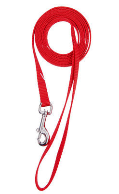 1" DOUBLE LAYER NYLON LEASH 4' RED