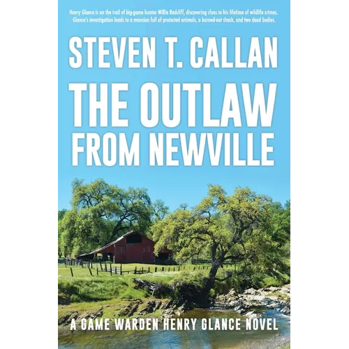 The Outlaw from Newville