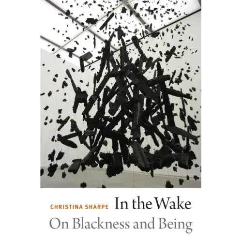 In the Wake: On Blackness and Being