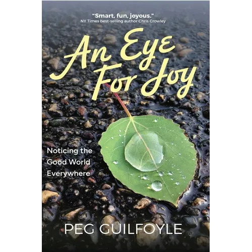 An Eye For Joy
