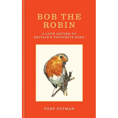 Bob the Robin: A Love Letter to Britain's Favourite Bird