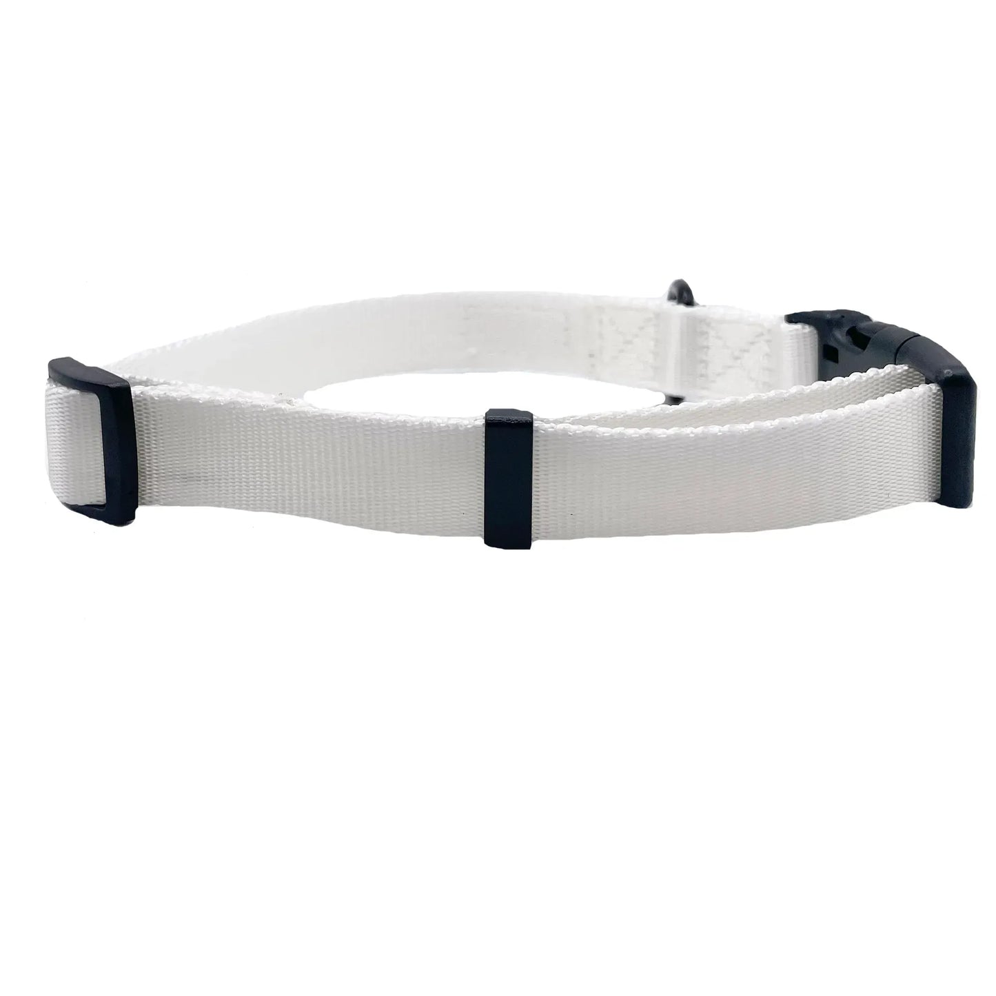 White Dog Collar