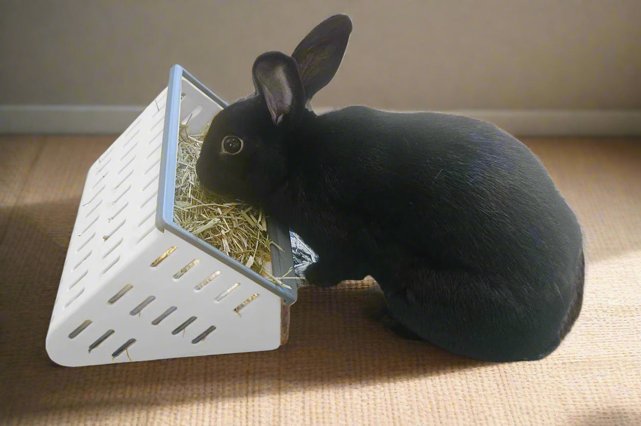 The Open Air Hay Feeder