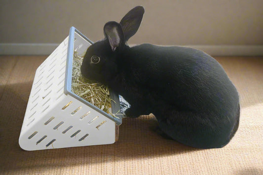 The Open Air Hay Feeder