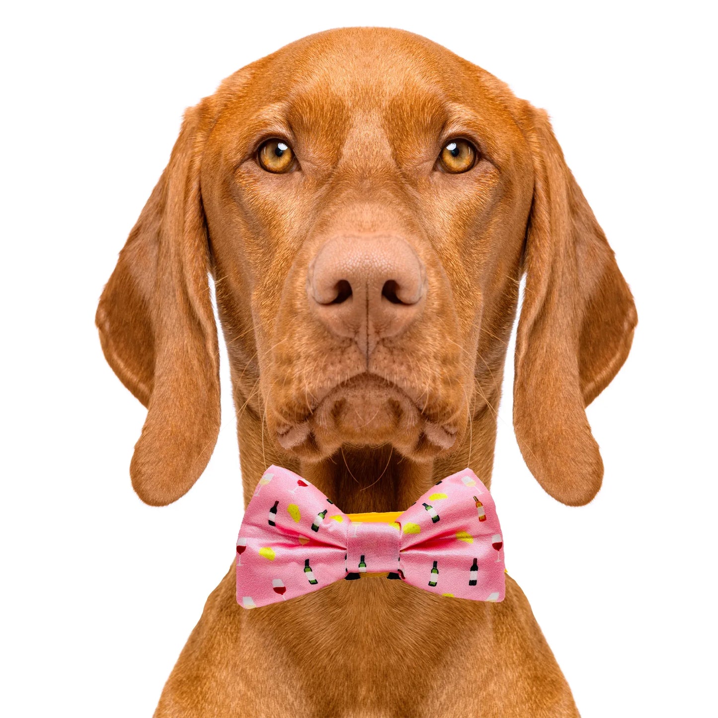 Wine & Cheese Pink Dog Bow Tie