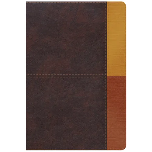 Rvr 1960 Biblia de Estudio Arcoiris, Cocoa/ Terracota Símil Piel Con Índice