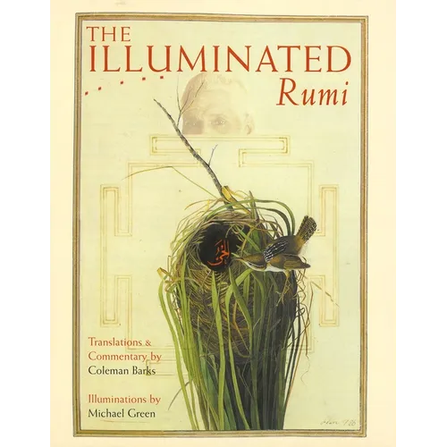 The Illuminated Rumi
