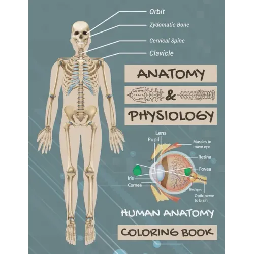 Anatomy & Physiology: Human Anatomy Coloring Book: Human Body Coloring Book, The Anatomy Of Coloring Book.