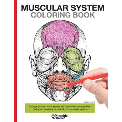 Muscular System Coloring Book: Now you can learn and master the muscular system with ease while having fun