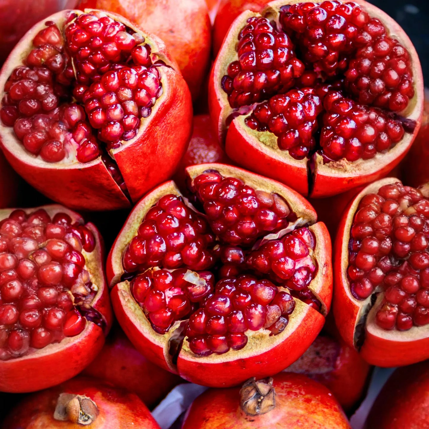 Pomegranate 'Wonderful' (Punica granatum)