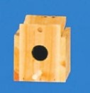 NESTING BOX FINCH REVERSE