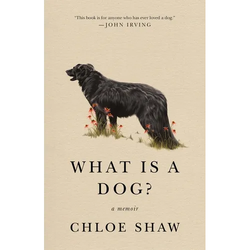 What Is a Dog?