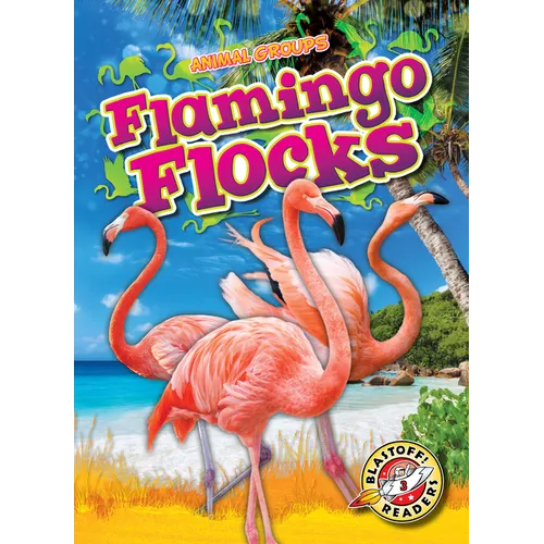 Flamingo Flocks