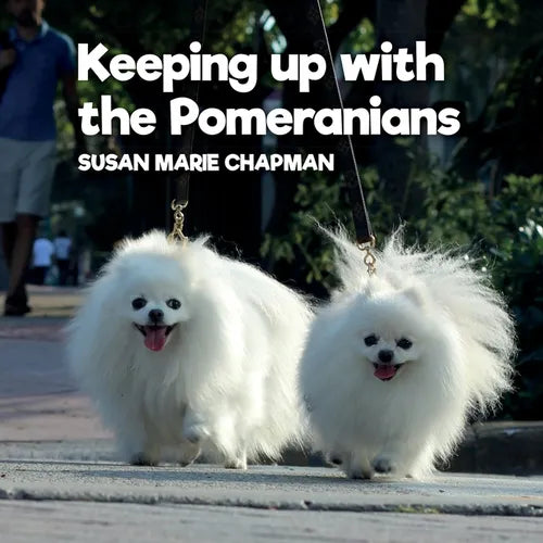 Keeping Up With The Pomeranians