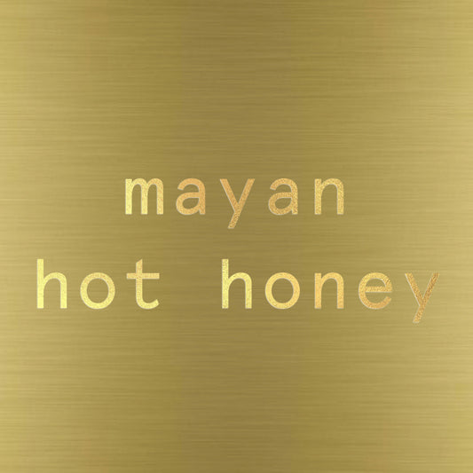 Xilli Mayan Hot Honey Case - 12 Jars x 10 oz