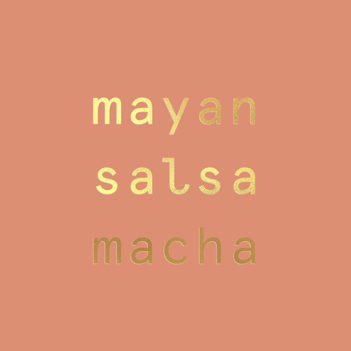 Xilli Mayan Salsa Macha Case - 12 Jars x 10 oz