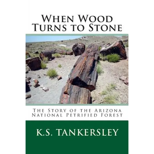 When Wood Turns to Stone: The Story of the Arizona National Petrified Forest
