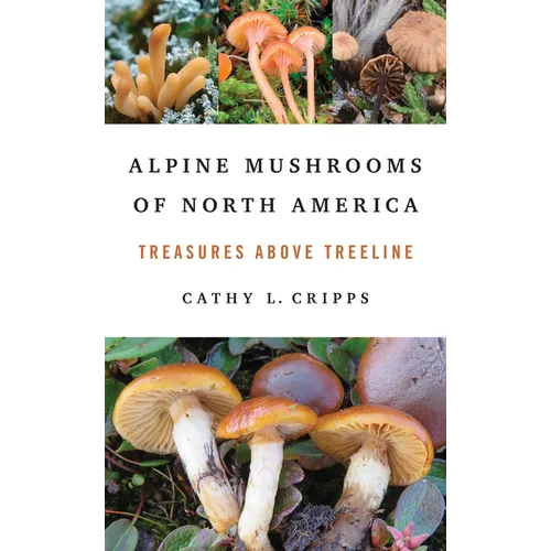 Alpine Mushrooms of North America: Treasures Above Treeline