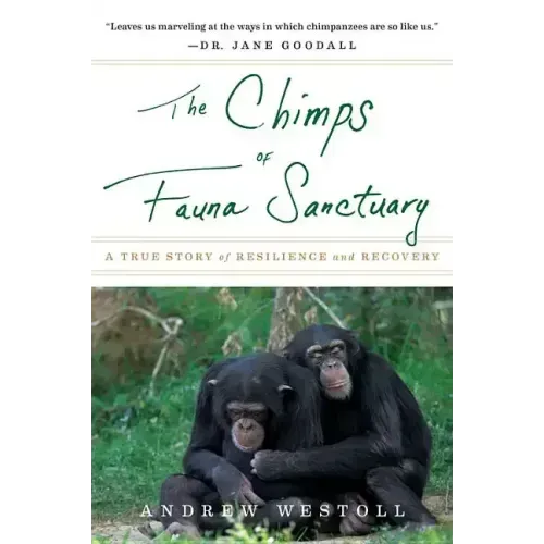The Chimps of Fauna Sanctuary: A True Story of Resilience and Recovery