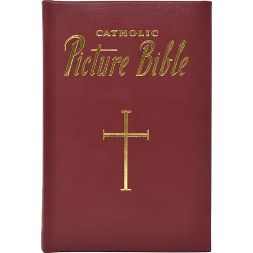 New Catholic Picture Bible: Popular Stories from the Old and New Testaments