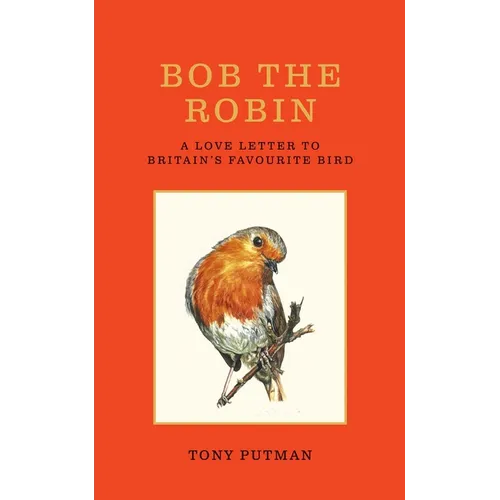 Bob the Robin: A Love Letter to Britain's Favourite Bird