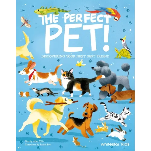 The Perfect Pet: Discovering Your Next Best Friend
