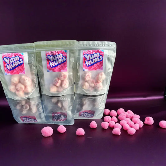 🍉 Watermelon YumNums Freeze-Dried Candy – 3-Pack of Crunchy, Juicy, Handcrafted Goodness