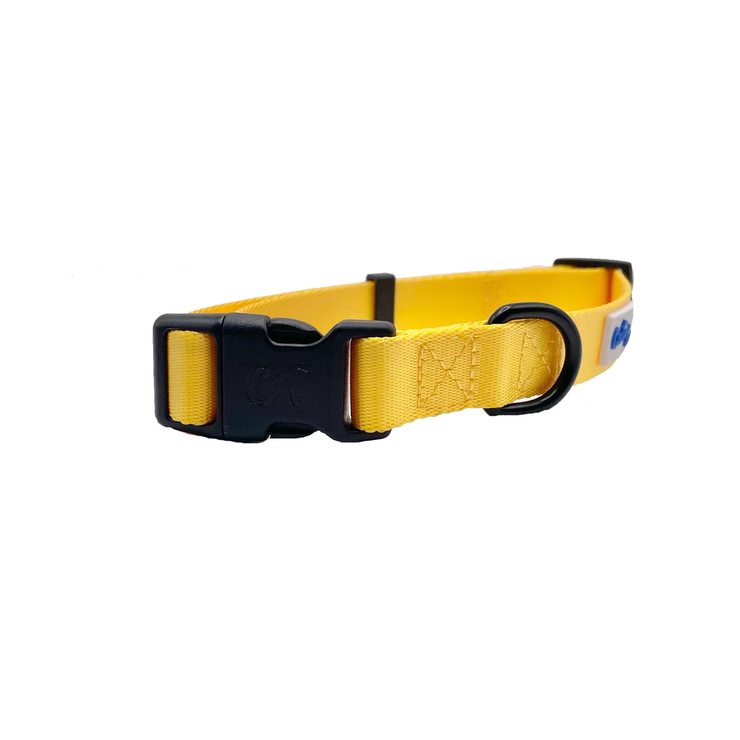 Yellow Dog Collar