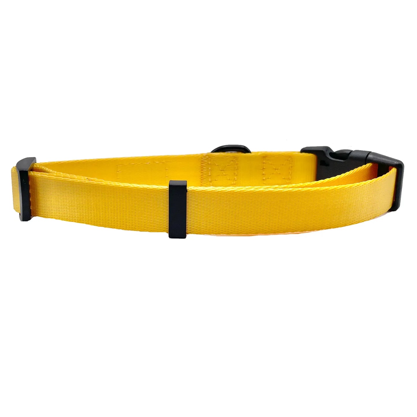 Yellow Dog Collar