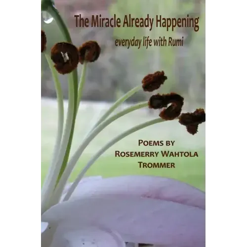 The Miracle Already Happening