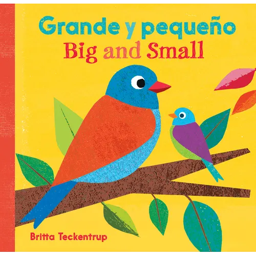 Grande Y Pequeño / Big and Small