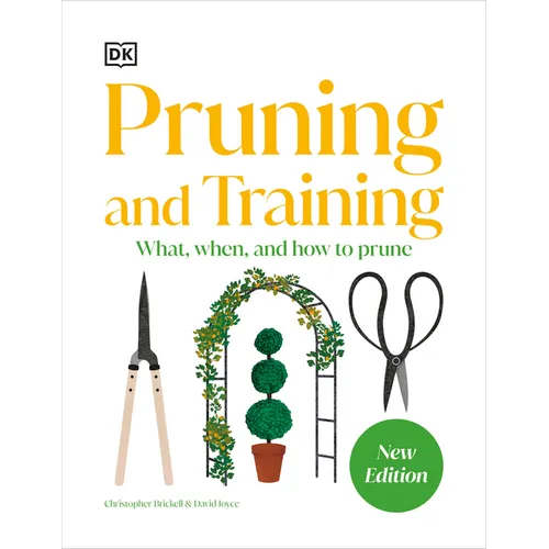 Pruning and Training: What, When, and How to Prune