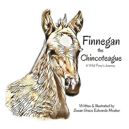 Finnegan the Chincoteague: A Wild Pony's Journey