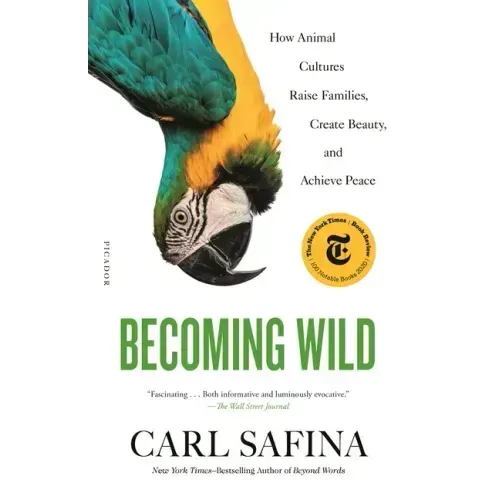 Becoming Wild: How Animal Cultures Raise Families, Create Beauty, and Achieve Peace
