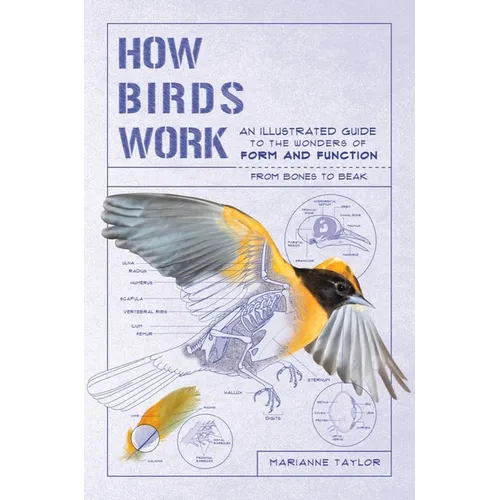 How Birds Work: An Illustrated Guide to the Wonders of Form and Function - From Bones to Beak