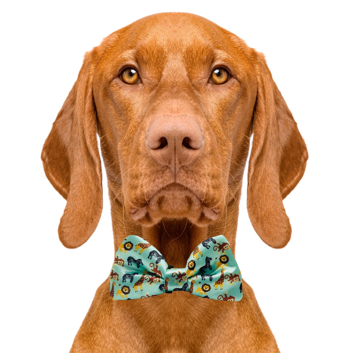Zoo Furiends Dog Bow Tie