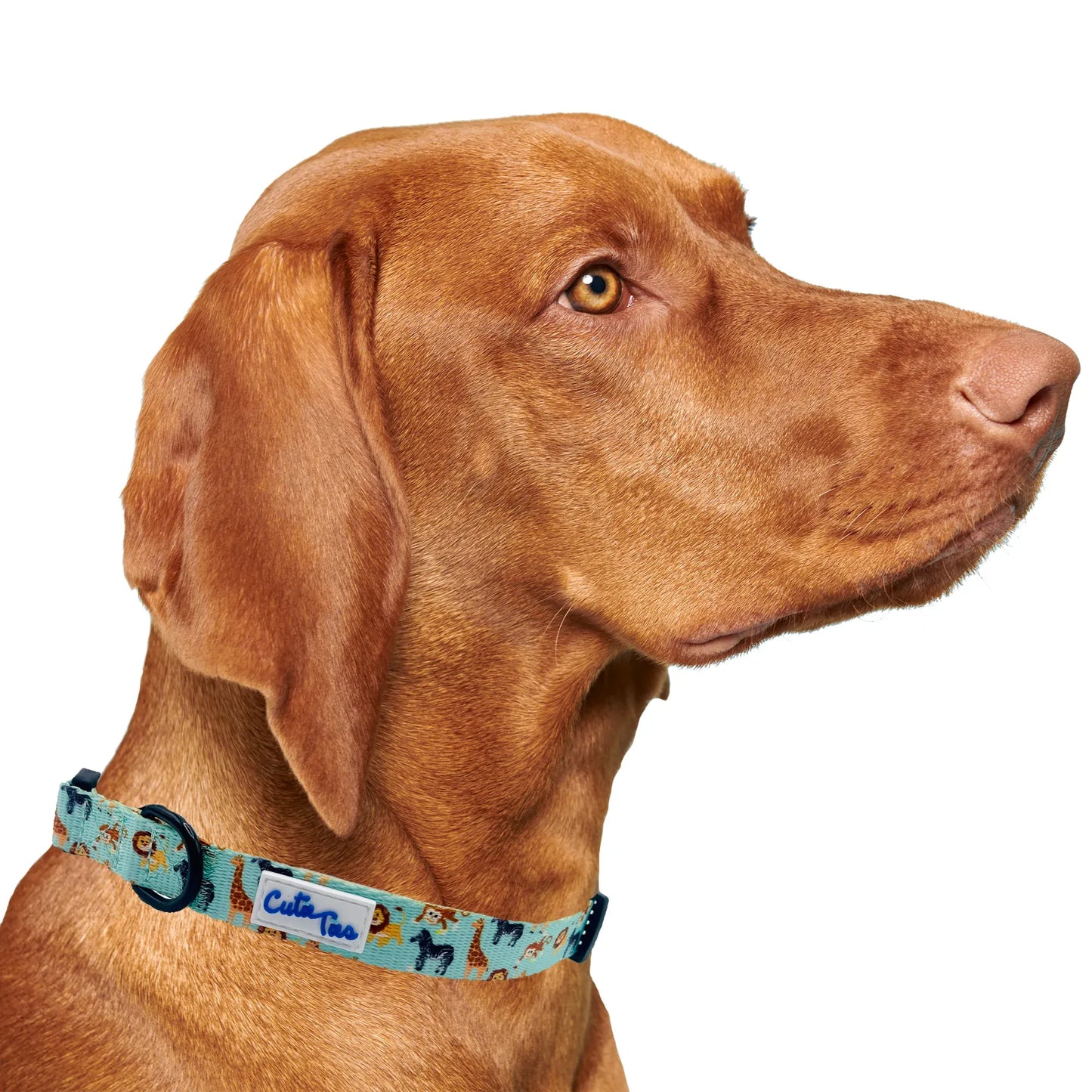 Zoo Furiends Dog Collar