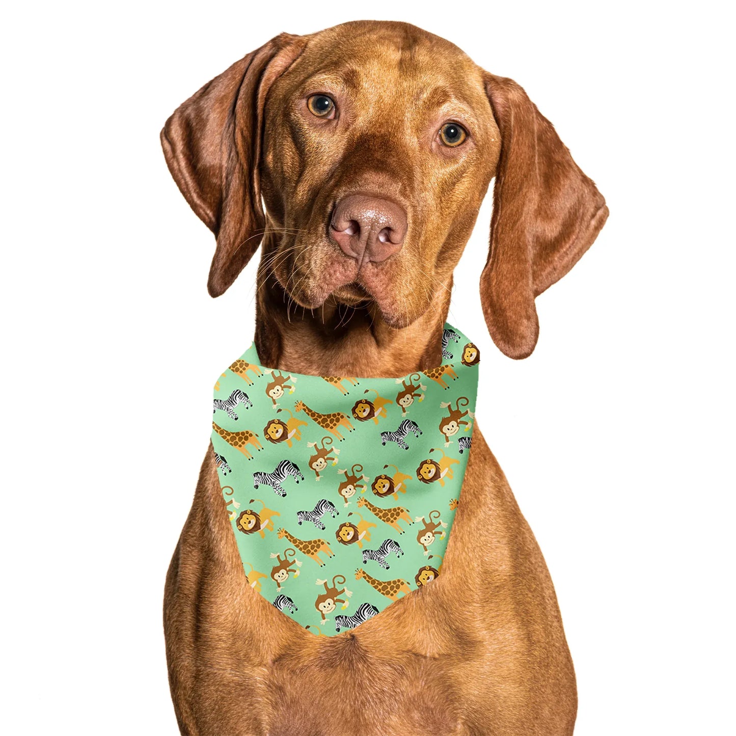 Zoo Furiends Tie On Dog Bandana