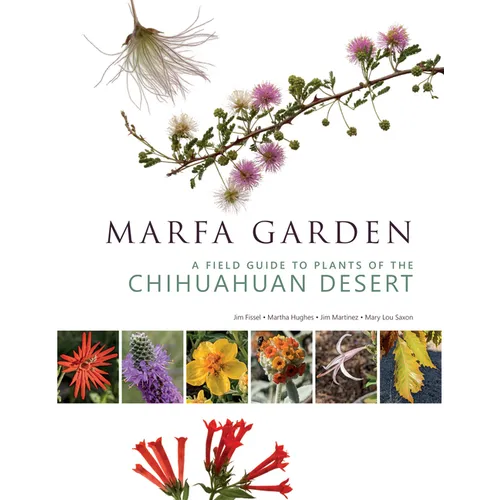 Marfa Garden: A Field Guide to Plants of the Chihuahuan Desert