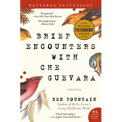 Brief Encounters with Che Guevara: Stories