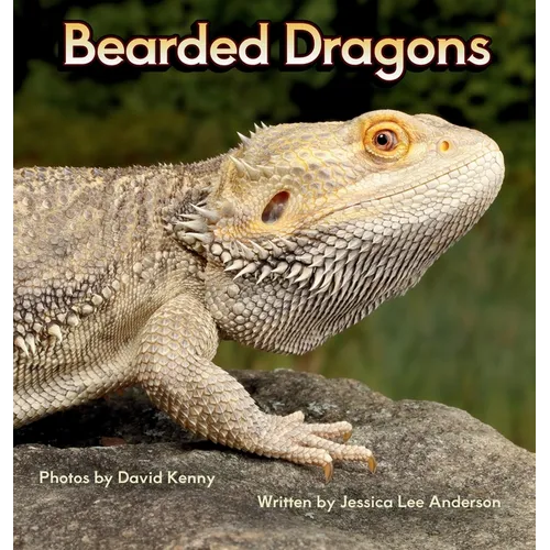 Bearded Dragons