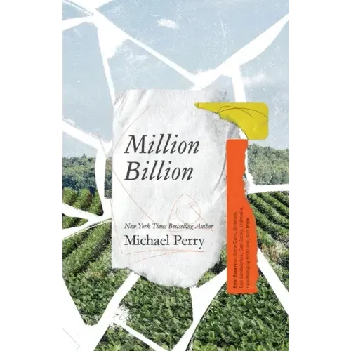 Million Billion: Brief Essays on Snow Days, Spitwads, Bad Sandwiches, Dad Socks, Hairballs, Headbanging Bird Love, and Hope.