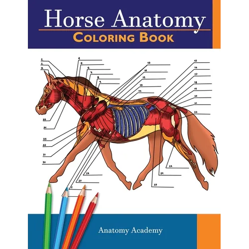 Horse Anatomy Coloring Book: Incredibly Detailed Self-Test Equine Anatomy Color workbook Perfect Gift for Veterinary Students, Horse Lovers & Adults