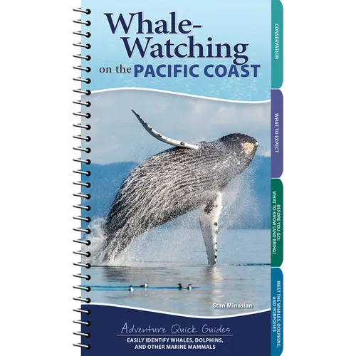 Whale-Watching on the Pacific Coast: Easily Identify Whales, Dolphins, and Other Marine Mammals