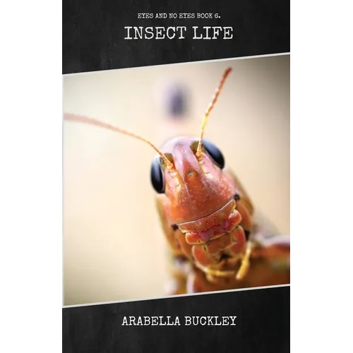 Insect Life