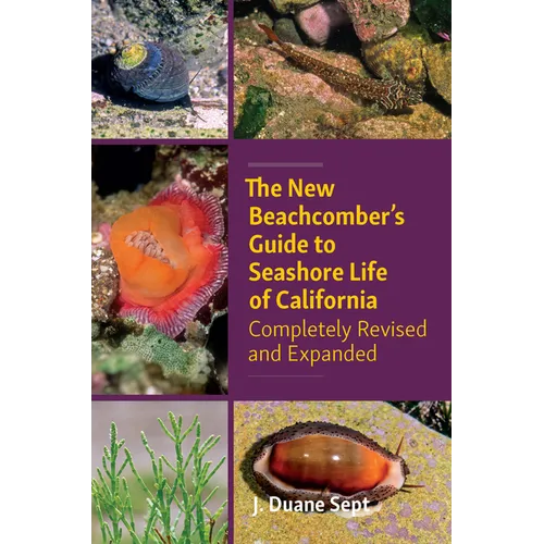 The New Beachcomber's Guide to Seashore Life of California: Completely Revised and Expanded